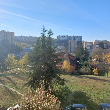 Apartman 23 Belgrado Buitenkant foto