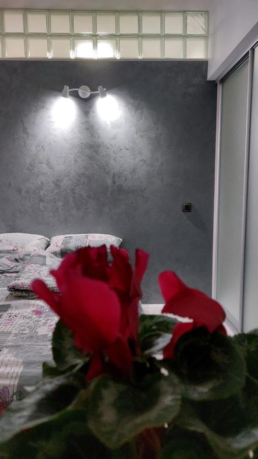 Apartman 23 Belgrado Buitenkant foto