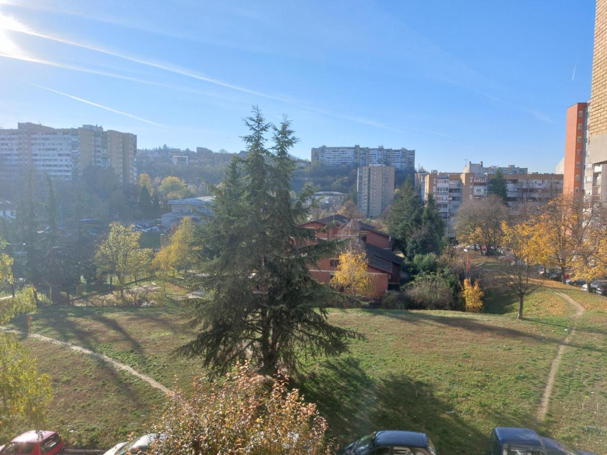 Apartman 23 Belgrado Buitenkant foto